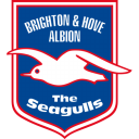 Brighton & Hove Albion icon